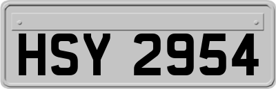 HSY2954