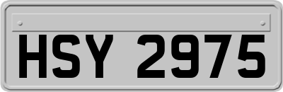 HSY2975