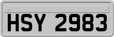 HSY2983