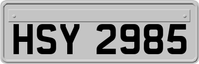 HSY2985