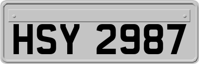 HSY2987