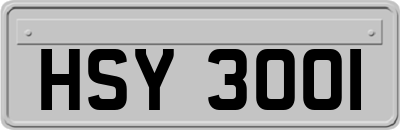 HSY3001
