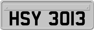 HSY3013