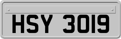 HSY3019