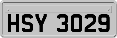 HSY3029
