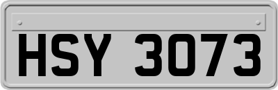 HSY3073