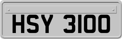 HSY3100