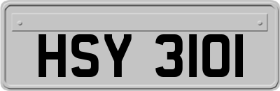 HSY3101