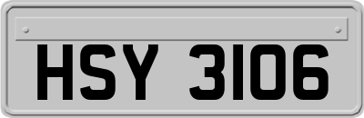 HSY3106