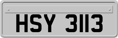 HSY3113