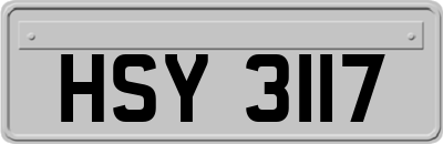 HSY3117