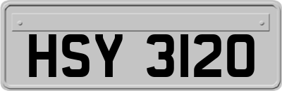HSY3120