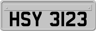 HSY3123