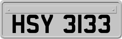 HSY3133