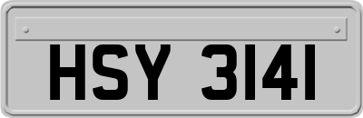 HSY3141