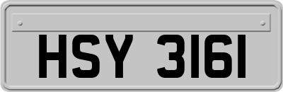 HSY3161