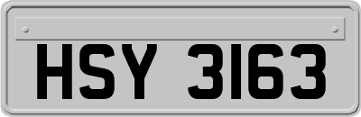 HSY3163