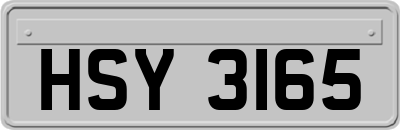 HSY3165