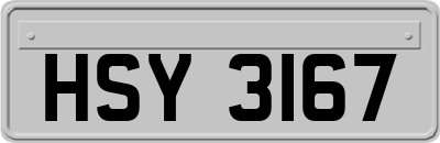 HSY3167
