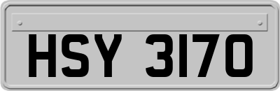 HSY3170