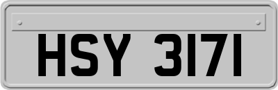 HSY3171