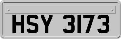 HSY3173