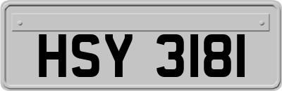 HSY3181
