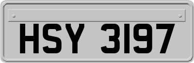HSY3197