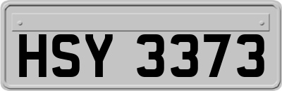 HSY3373