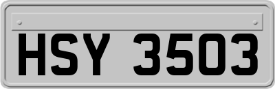HSY3503