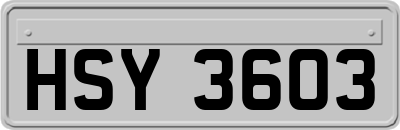 HSY3603