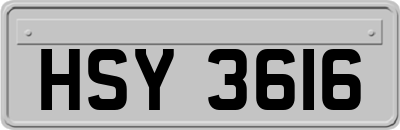 HSY3616