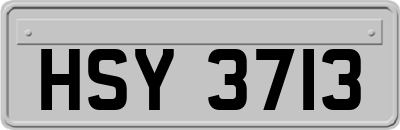 HSY3713