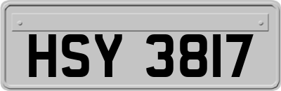 HSY3817