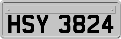 HSY3824