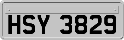 HSY3829