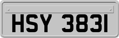 HSY3831