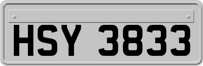 HSY3833