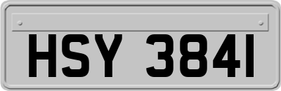 HSY3841