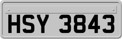 HSY3843