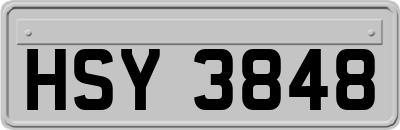 HSY3848