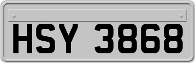 HSY3868