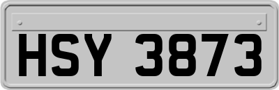 HSY3873