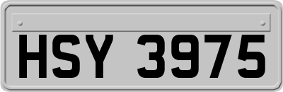 HSY3975