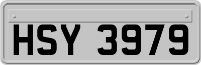 HSY3979