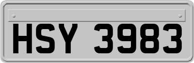 HSY3983