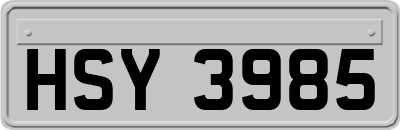 HSY3985