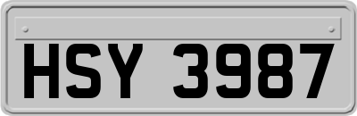 HSY3987