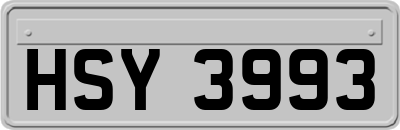 HSY3993