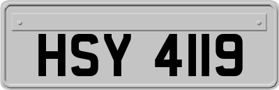 HSY4119